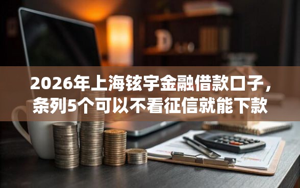 2026年上海铉宇金融借款口子，条列5个可以不看征信就能下款的app