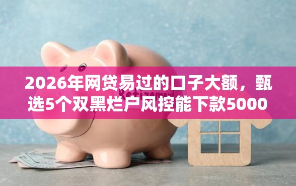 2026年网贷易过的口子大额，甄选5个双黑烂户风控能下款5000口子