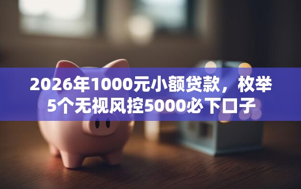 2026年1000元小额贷款,枚举5个无视风控5000必下口子 2026年1000元小额贷款,枚举5个无视风控5000必下口子