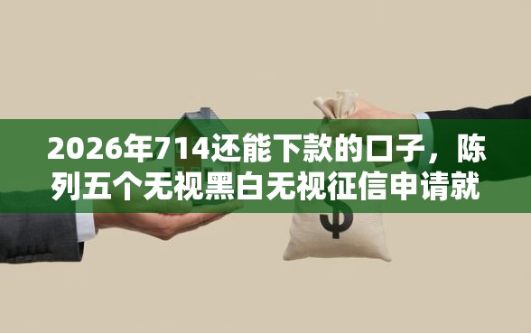 2026年714还能下款的口子，陈列五个无视黑白无视征信申请就下款的口子