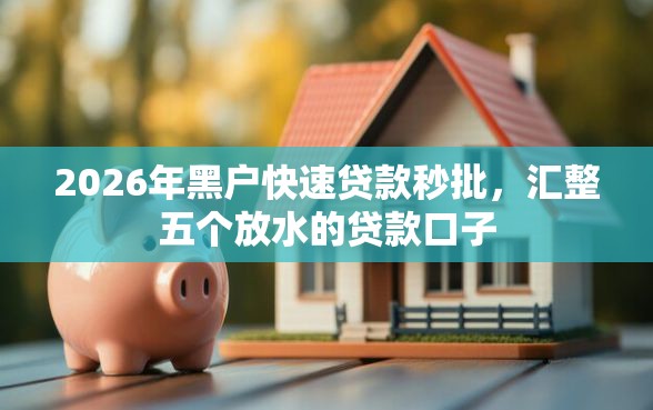 2026年黑户快速贷款秒批，汇整五个放水的贷款口子
