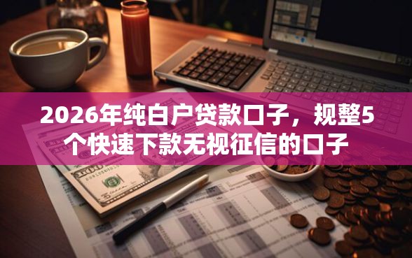 2026年纯白户贷款口子，规整5个快速下款无视征信的口子