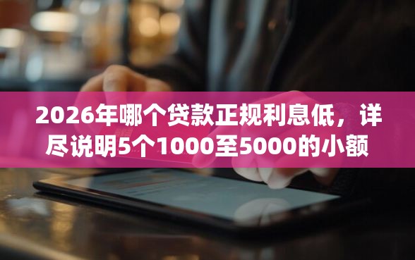 2026年哪个贷款正规利息低，详尽说明5个1000至5000的小额贷款app