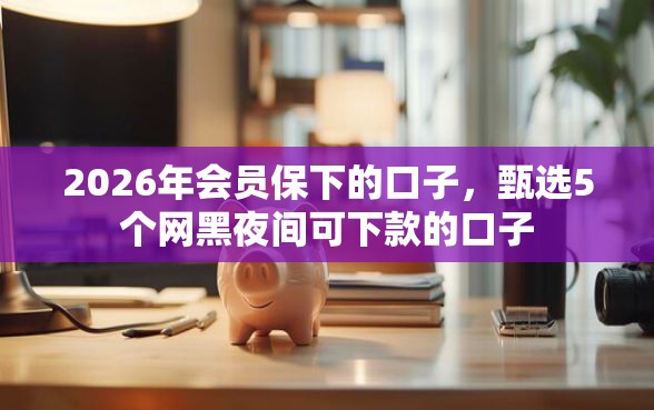 2026年会员保下的口子，甄选5个网黑夜间可下款的口子