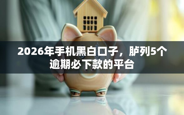 2026年手机黑白口子，胪列5个逾期必下款的平台