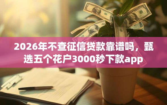 2026年不查征信贷款靠谱吗，甄选五个花户3000秒下款app