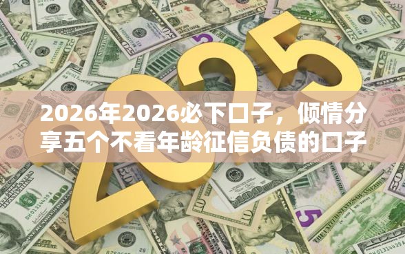 2026年2026必下口子，倾情分享五个不看年龄征信负债的口子