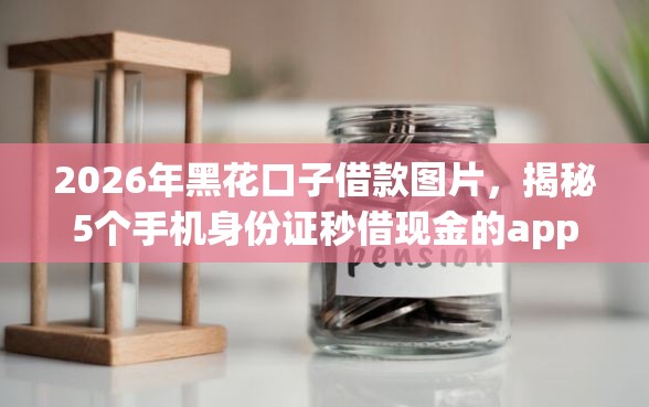 2026年黑花口子借款图片，揭秘5个手机身份证秒借现金的app
