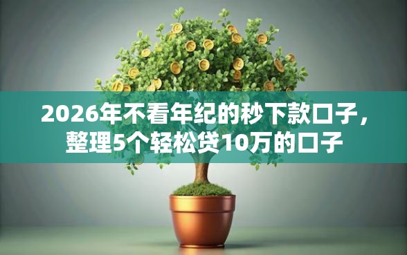 2026年不看年纪的秒下款口子，整理5个轻松贷10万的口子