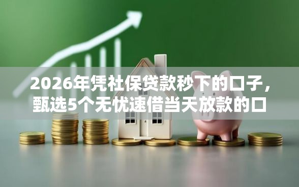 2026年凭社保贷款秒下的口子，甄选5个无忧速借当天放款的口子