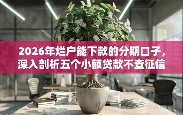 2026年烂户能下款的分期口子，深入剖析五个小额贷款不查征信的软件