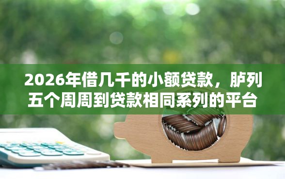 2026年借几千的小额贷款，胪列五个周周到贷款相同系列的平台