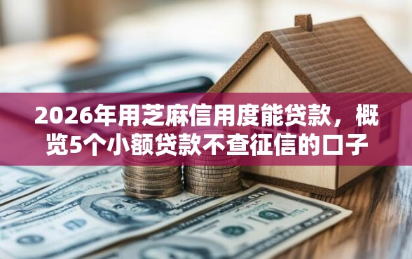2026年用芝麻信用度能贷款，概览5个小额贷款不查征信的口子