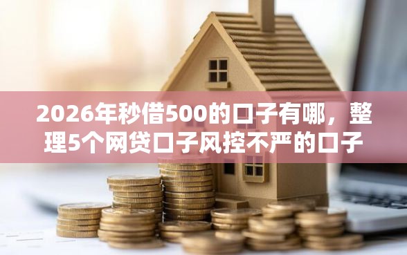 2026年秒借500的口子有哪，整理5个网贷口子风控不严的口子