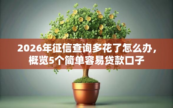 2026年征信查询多花了怎么办，概览5个简单容易贷款口子
