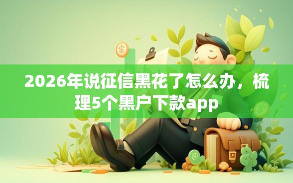 2026年说征信黑花了怎么办，梳理5个黑户下款app