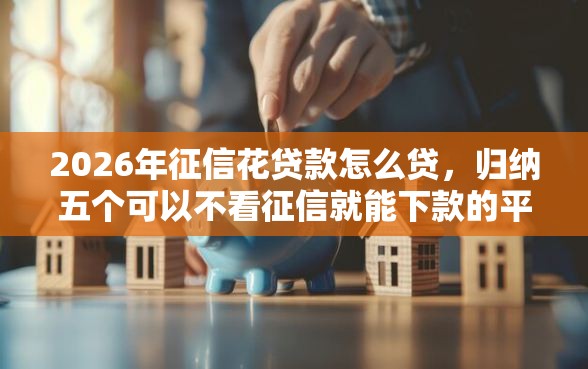 2026年征信花贷款怎么贷，归纳五个可以不看征信就能下款的平台