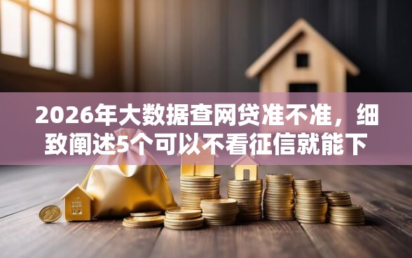 2026年大数据查网贷准不准，细致阐述5个可以不看征信就能下款的口子