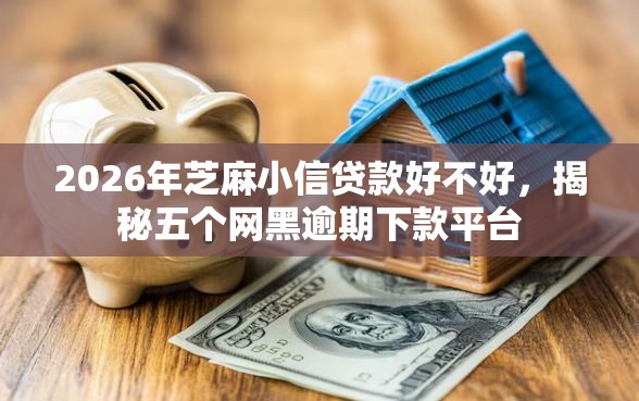 2026年芝麻小信贷款好不好，揭秘五个网黑逾期下款平台