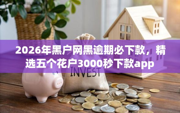 2026年黑户网黑逾期必下款，精选五个花户3000秒下款app