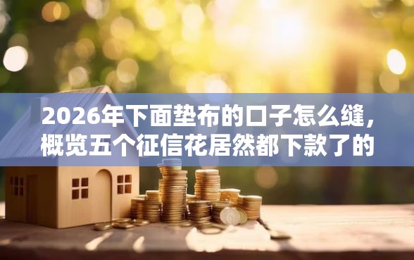 2026年下面垫布的口子怎么缝，概览五个征信花居然都下款了的平台