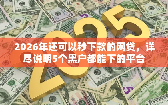 2026年还可以秒下款的网贷，详尽说明5个黑户都能下的平台