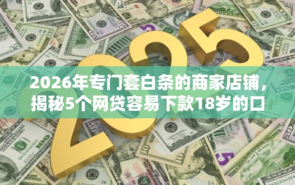 2026年专门套白条的商家店铺，揭秘5个网贷容易下款18岁的口子