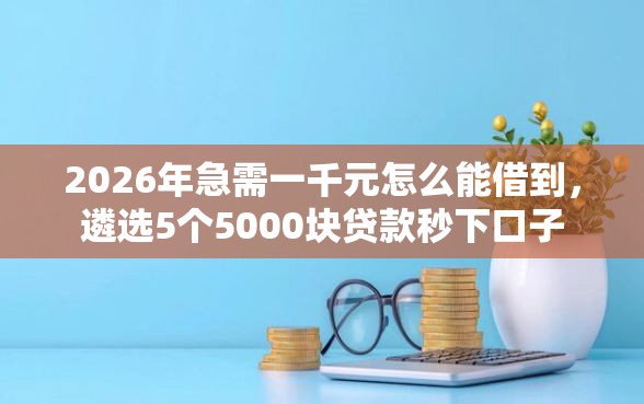 2026年急需一千元怎么能借到，遴选5个5000块贷款秒下口子