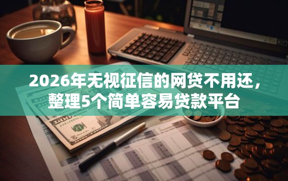 2026年无视征信的网贷不用还，整理5个简单容易贷款平台