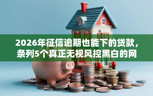 2026年征信逾期也能下的贷款，条列5个真正无视风控黑白的网贷软件
