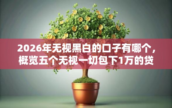 2026年无视黑白的口子有哪个，概览五个无视一切包下1万的贷款