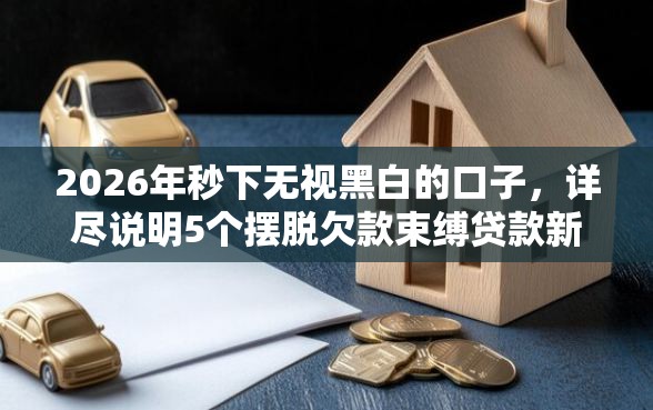 2026年秒下无视黑白的口子，详尽说明5个摆脱欠款束缚贷款新口子