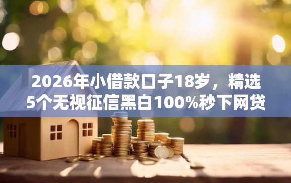 2026年小借款口子18岁，精选5个无视征信黑白100%秒下网贷口子