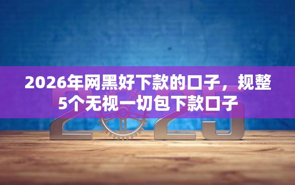 2026年网黑好下款的口子，规整5个无视一切包下款口子