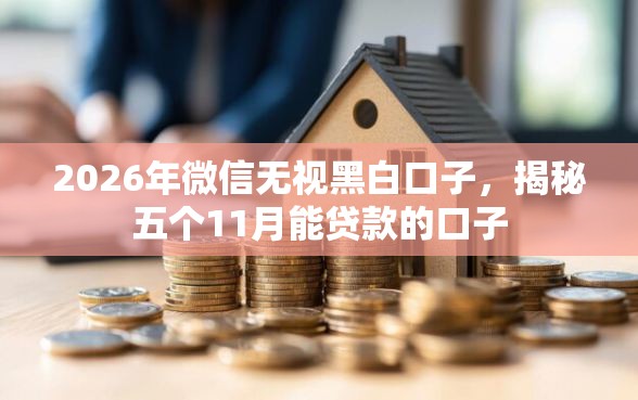 2026年微信无视黑白口子，揭秘五个11月能贷款的口子