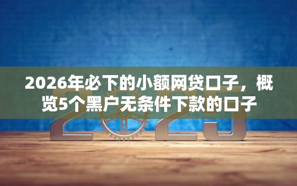 2026年必下的小额网贷口子，概览5个黑户无条件下款的口子