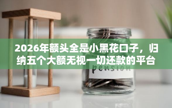 2026年额头全是小黑花口子，归纳五个大额无视一切还款的平台