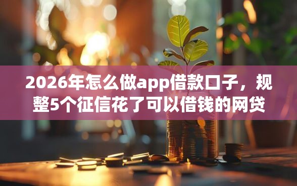 2026年怎么做app借款口子,规整5个征信花了可以借钱的网贷口子 2026年怎么做app借款口子,规整5个征信花了可以借钱的网贷口子