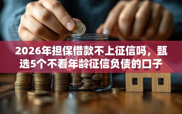 2026年担保借款不上征信吗，甄选5个不看年龄征信负债的口子