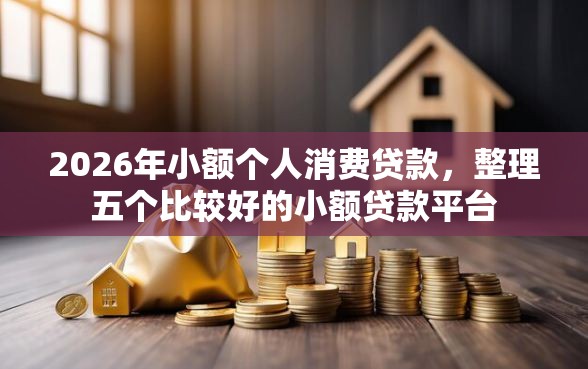 2026年小额个人消费贷款，整理五个比较好的小额贷款平台