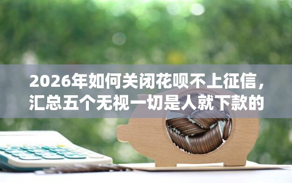 2026年如何关闭花呗不上征信，汇总五个无视一切是人就下款的app