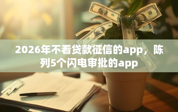 2026年不看贷款征信的app，陈列5个闪电审批的app