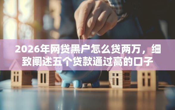2026年网贷黑户怎么贷两万，细致阐述五个贷款通过高的口子
