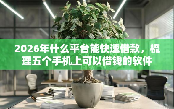 2026年什么平台能快速借款，梳理五个手机上可以借钱的软件