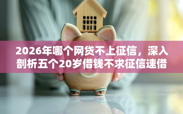 2026年哪个网贷不上征信，深入剖析五个20岁借钱不求征信速借平台