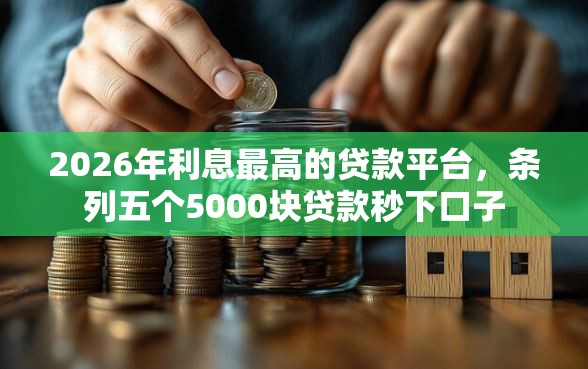 2026年利息最高的贷款平台，条列五个5000块贷款秒下口子