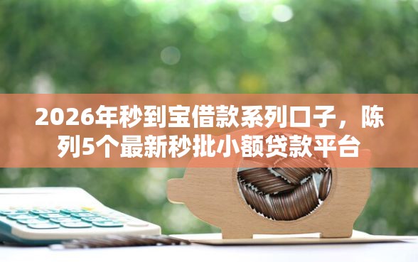 2026年秒到宝借款系列口子，陈列5个最新秒批小额贷款平台