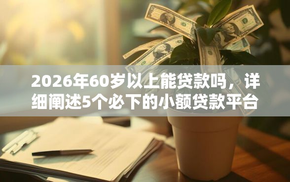 2026年60岁以上能贷款吗，详细阐述5个必下的小额贷款平台