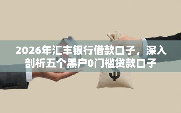 2026年汇丰银行借款口子，深入剖析五个黑户0门槛贷款口子
