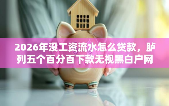 2026年没工资流水怎么贷款，胪列五个百分百下款无视黑白户网贷口子